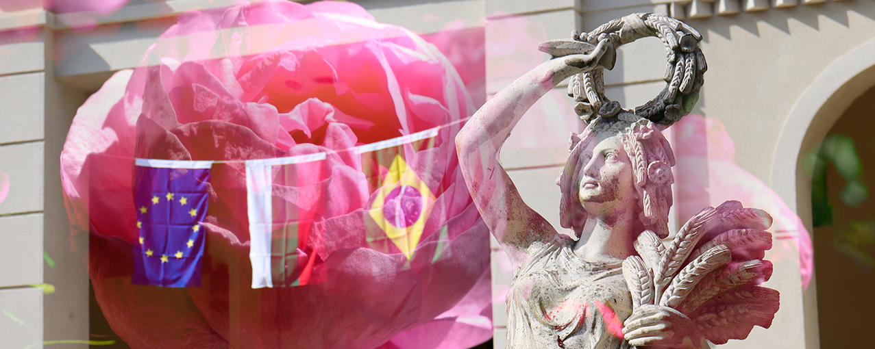 Rosas da Bulgária