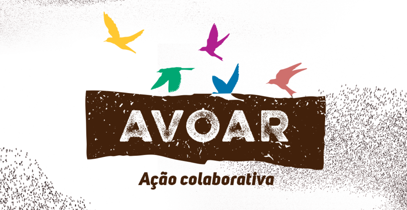 logo do projeto Avoar